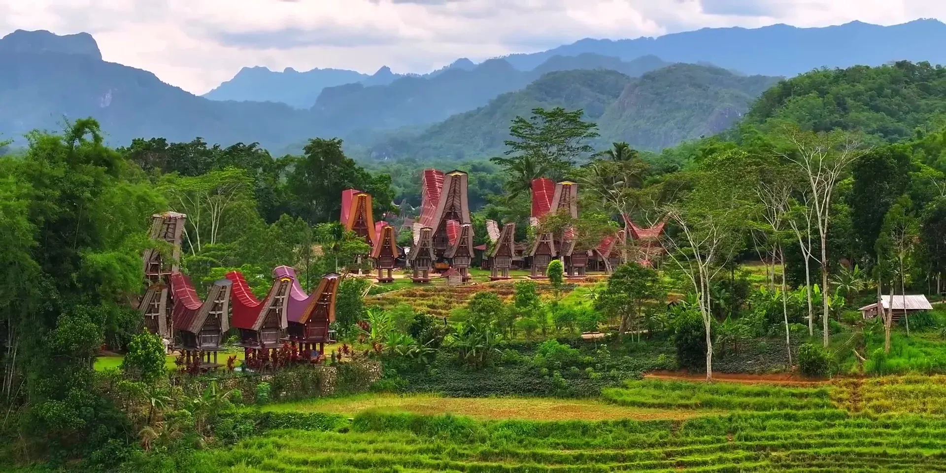 منازل تونكونان ومدرجات الأرز في Tana Toraja، Sulawesi